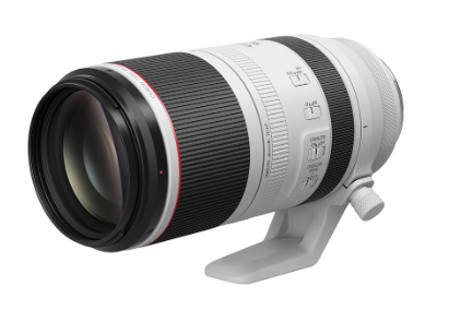 Canon EF 100-500mm f/4.5-7.1 L IS USM